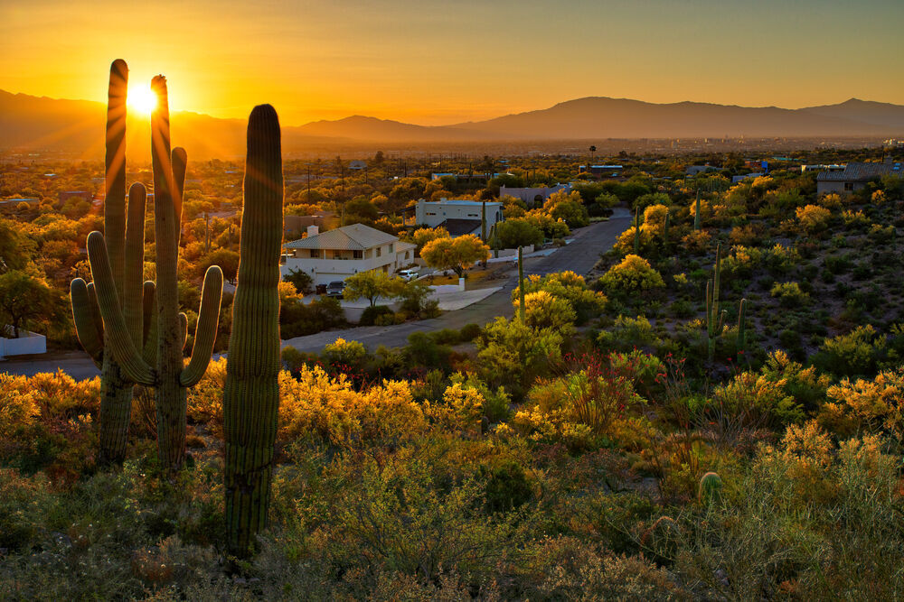 15. Tucson, AZ